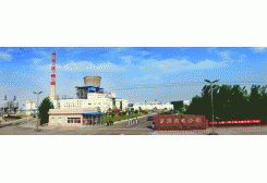 電廠